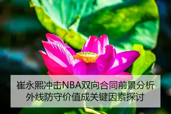 崔永熙冲击NBA双向合同前景分析外线防守价值成关键因素探讨