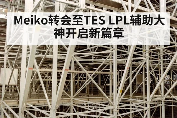 Meiko转会至TES LPL辅助大神开启新篇章