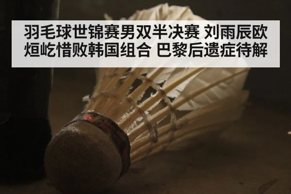 羽毛球世锦赛男双半决赛 刘雨辰欧烜屹惜败韩国组合 巴黎后遗症待解